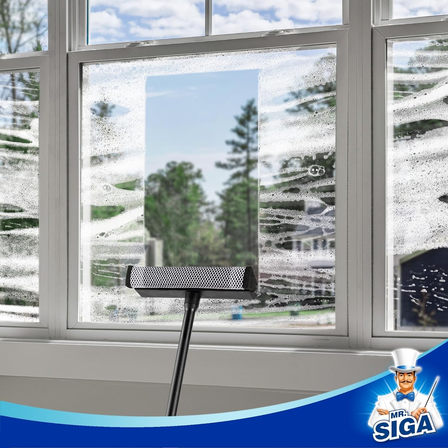 Professional Squeegee for Car Windshield Cleaning, 2 in 1 Shower Door Squeegee with Handle & Window Washing Sponge, Black