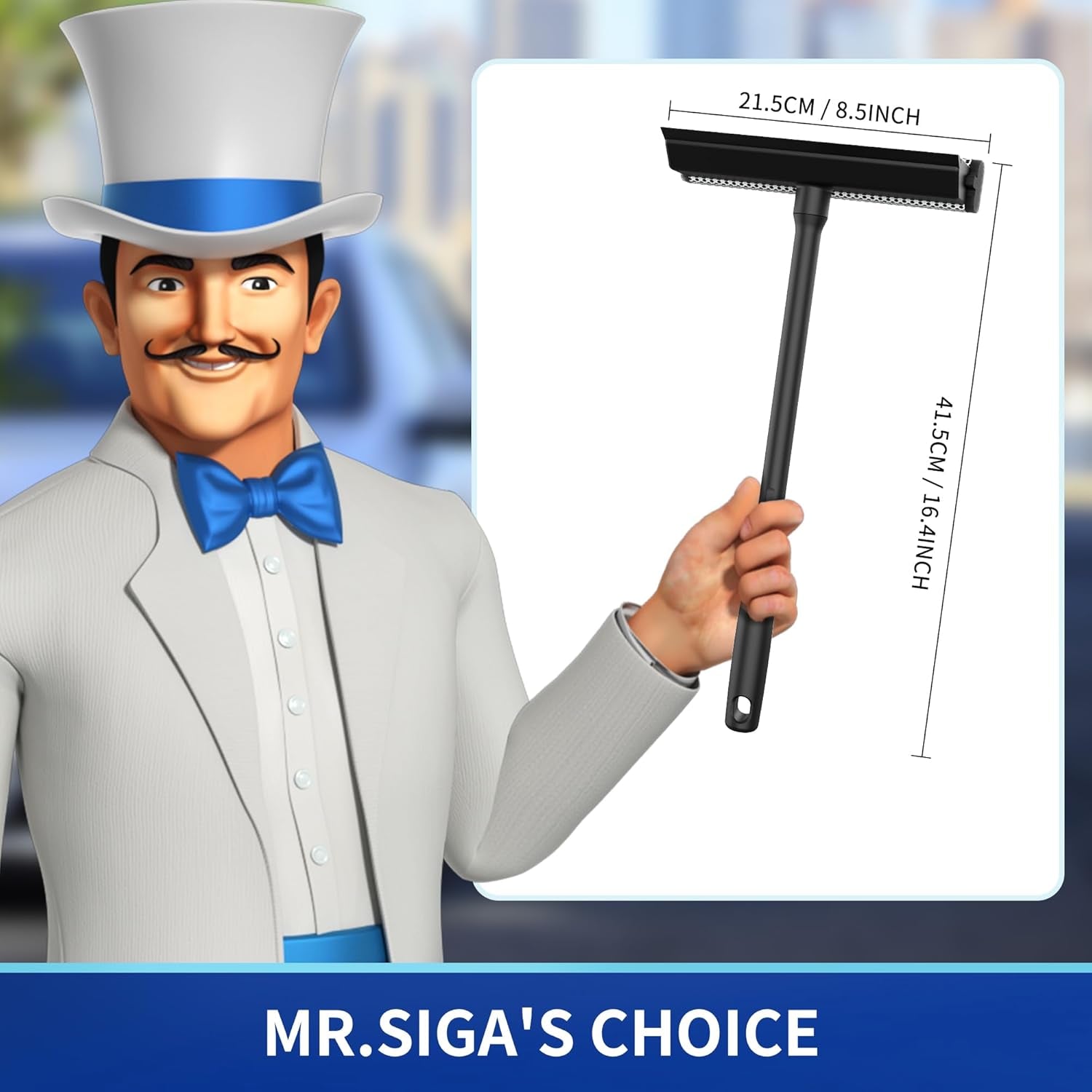 Professional Squeegee for Car Windshield Cleaning, 2 in 1 Shower Door Squeegee with Handle & Window Washing Sponge, Black