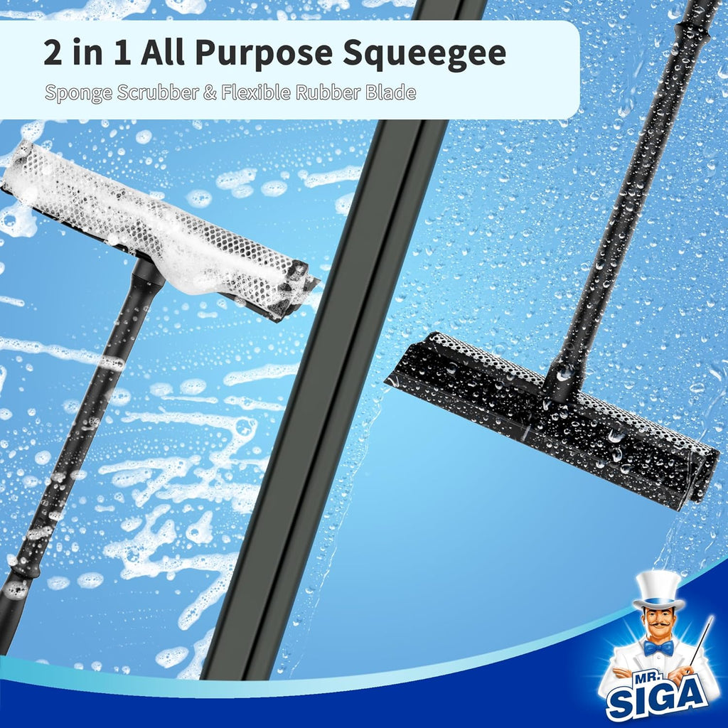 Professional Squeegee for Car Windshield Cleaning, 2 in 1 Shower Door Squeegee with Handle & Window Washing Sponge, Black